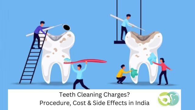 Teeth cleaning cost without insurance